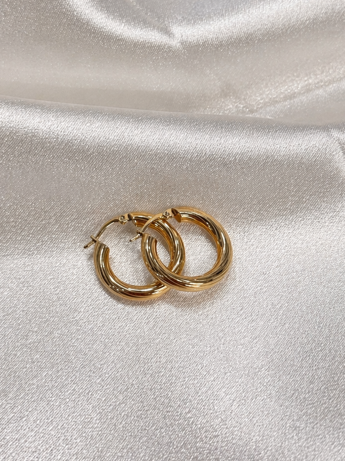Small Hoops 10 Kt